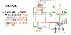 小蝌蚪视频下载污的工作原理